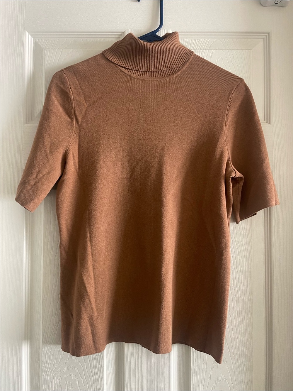 Anne Klein Short-Sleeve Turtleneck Top in Chestnut